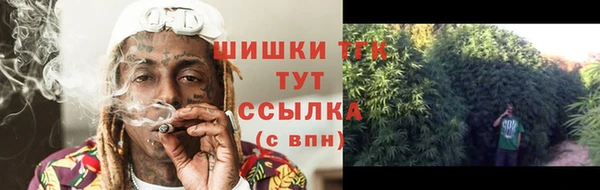 спайс Няндома