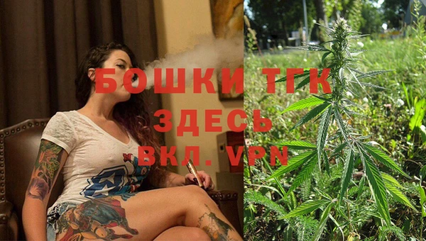 дурь Нягань
